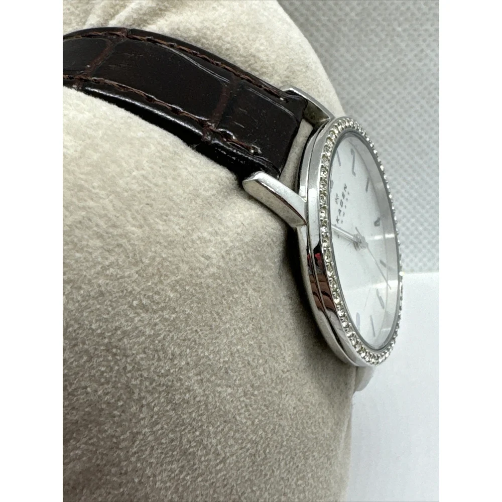 Skagen Denmark SKW2284 Women Brown Leather Analog Dial Quartz Wrist Watch AEA288